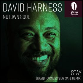 Nutown Soul - Stay (David Harness Remix) [Ocha Records]