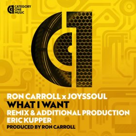 Ron Carroll, JoysSoul - What I Want [Category 1 Music]