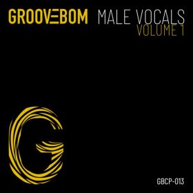 Various Artists - Male Vocals - Volume 1 [Groovebom Records]