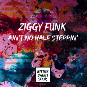 Ziggy Funk - Ain't No Half Steppin' [Bitter Sweet Sour]