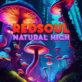 RedSoul - Natural High [Playmore]