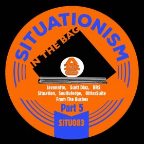 Various Artists - In the Bag - 2Up2Down, Pt. 5 [Situationism]