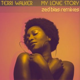 Terri Walker - My Love Story - Zed Bias Remixes [Wings of a Hummingbird Records]