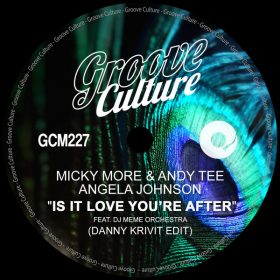 Micky More & Andy Tee, Angela Johnson, Dj Meme - Is It Love You're After (Danny Krivit Edit) [Groove Culture]
