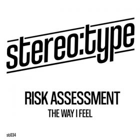 Risk Assessment - The Way I Feel [Stereo-type]