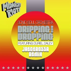 Sonic Soul Orchestra, Duriel Daley - Dripping & Dropping [Midnight Riot]