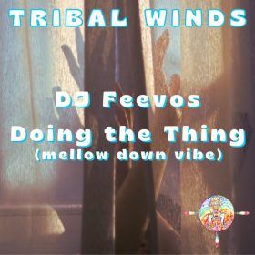 DJ Feevos - Doing The Thing [Tribal Winds]