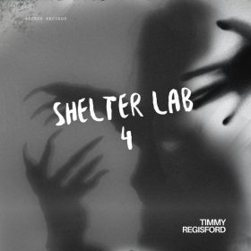 TIMMY REGISFORD - SHELTER LAB 4 [Access Records]