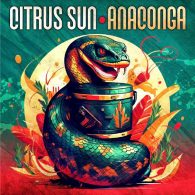 Citrus Sun - Anaconga LP [Dome Records]