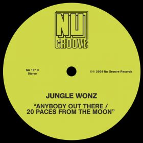 Jungle Wonz - Anybody Out There - 20 Paces From The Moon [Nu Groove Records]