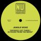 Jungle Wonz - Anybody Out There - 20 Paces From The Moon [Nu Groove Records]