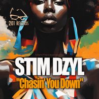 Stem Dzyl - Chasin U Down [201 Records]