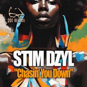 Stem Dzyl - Chasin U Down [201 Records]