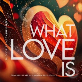 DJ Disciple feat. Charlie Flexx - What Love Is [Catch 22]