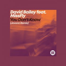 David Bailey, MissFly - You Don't Know (Jovonn Remix) [Good Vibrations Music]