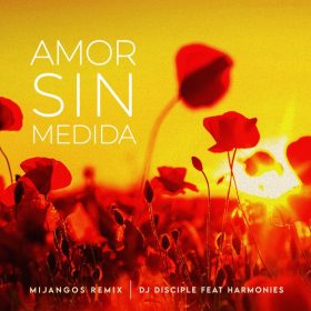 Dj Disciple, Harmonies - Amor Sin Medida (Mijangos Remix) [Catch 22]