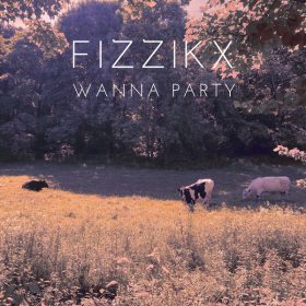 Fizzikx - Wanna Party [Vibe n Soul Music]