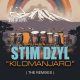 Stim Dzyl - Kilomanjaro (The Remixes) [201 Records]