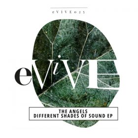 The Angels - Different Shades of Sound EP [eViVE Records]