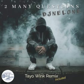 DJNELONE - 2 Many Questions (incl Tayo Wink Remix) [Deeper Side of Cyberjamz Records]