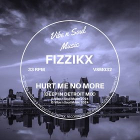 Fizzikx - Hurt Me No More (Deep In Detroit Mix) [Vibe n Soul Music]