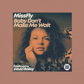 MissFly, David Bailey - Baby Dont Make Me Wait [Good Vibrations Music]