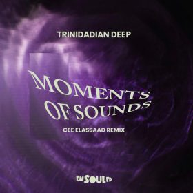 Trinidadian Deep - Moments Of Sounds (Cee ElAssaad Remix) [ENSOULED]