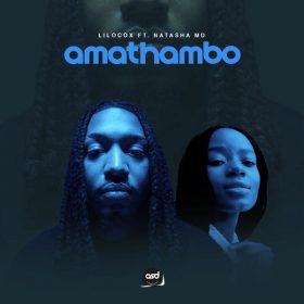 Lilocox, Natasha MD - Amatahmbo [All Shades Of The Drum Recordings]