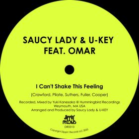 Saucy Lady, U-key, Omar - I Can't Shake This Feeling [Dippin Records]