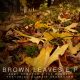 Andy Compton, The Rurals, Charlie Hearnshaw - Brown Leaves EP [Peng]