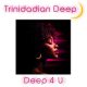 Trinidadian Deep - Deep 4 U [noctu recordings]