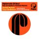 Diplomats Of Soul, Incognito, Vanessa Haynes - Sweet Power Your Embrace (Terry Hunter & Emmaculate Remixes) [Papa Records]