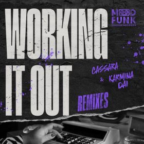 Cassara, Karmina Dai, Angelo Ferreri, Lenny Fontana - Working It Out (Remixes) [Mood Funk Records]