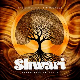 Dj Disciple, Lin Njoroge - Shwari [Catch 22]
