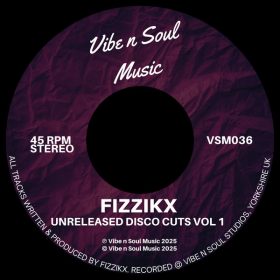 Fizzikx - Unreleased Disco Cuts Vol 1 [Vibe n Soul Music]
