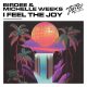 Michelle Weeks, Birdee - I Feel the Joy (Extended Mix) [Tinted Records]