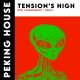 Dirtytwo feat Ernesto & The Basement Gospel - Tension's High (Risk Assessment Remix) [Peking House]