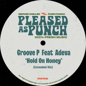 Groove P, Adeva - Hold On Honey [Pleased As Punch]