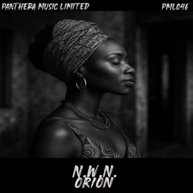 N.W.N. - Orion [Panthera Limited]