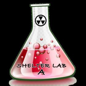 TIMMY REGISFORD - Shelter Lab 9 [Access Records]