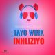 Tayo Wink - Inhliziyo [PANDABOY MUSIC]