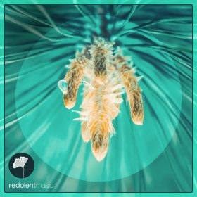 Almared, Jateen, Tazia Farrao - We'll Be Fine [Redolent]