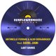 Antonello Ferrari, Aldo Bergamasco, Carol Jiani - Last Dance [Sunflowermusic Records]