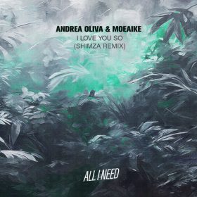 Andrea Oliva, Moeaike - I Love You So (Shimza Remix) [All I Need]