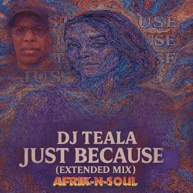 DJ Teala - Just Because (Afrik-N-Soul Extended Mix) [bandcamp]