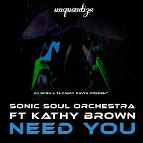 Sonic Soul Orchestra, Kathy Brown - Need You [unquantize]