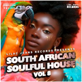 Various Artists - South African Soulful House, Vol. 8 [Lilac Jeans Records]