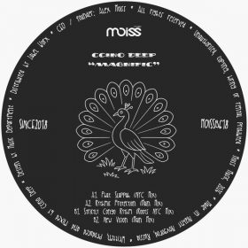 Ccino Deep - Magnific [Moiss Music Black]