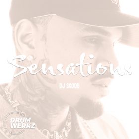 Chris Brown - Sensational (DJ Scoob Remx) [bandcamp]