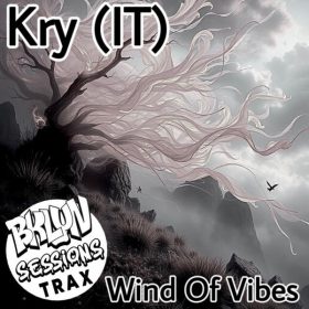 Kry (IT) - Wind of Vibes [Bklyn Sessions Trax]
